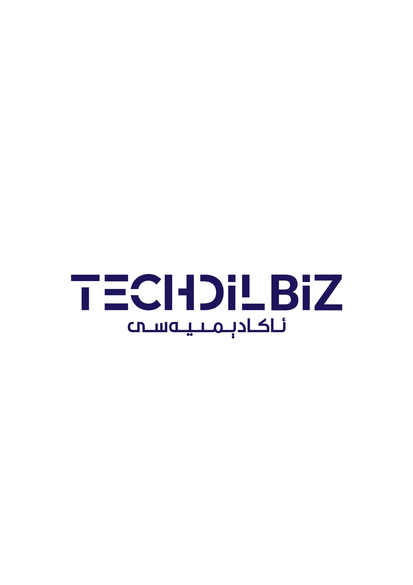 Techdilbiz Academy Logo